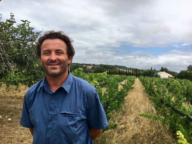 Wineries for sale in the Algarve region – regional wine of Algarve